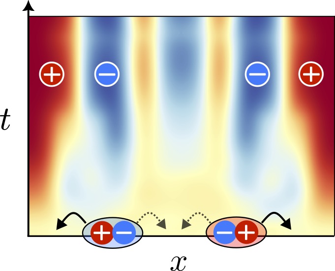 &amp;amp;amp;amp;lt;em&amp;amp;amp;amp;gt;A stylized depiction of the dipole skin effect. Time is represented on the y-axis so that moving up the graph follows the evolution of the system. The colour represent the charge concentration. The red and blue regions at the edges show that a dipole of opposite polarity has formed at each edge. This is the dipole skin effect.&amp;amp;amp;amp;lt;/em&amp;amp;amp;amp;gt;