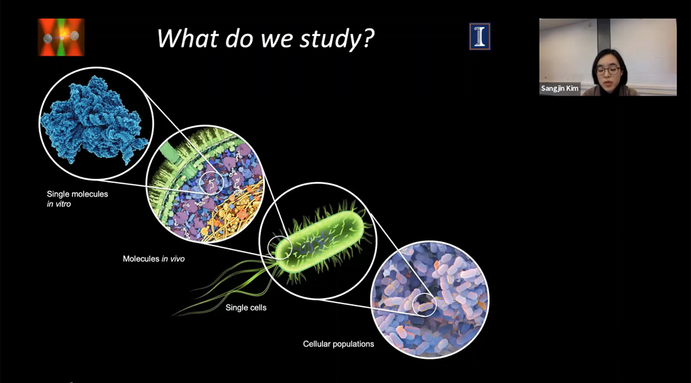 Click to play video: Professor Sangjin Kim discusses research opportunities within the Center for the Physics of the Living Cell (CPLC) and the Biological Physics research group