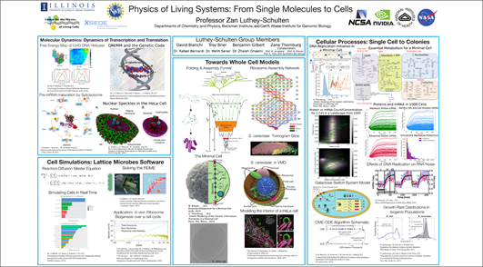 Click to open file: Physics of Living Systems, From Single Molecules to Cells presented by Professor Zan Luthey-Schulten