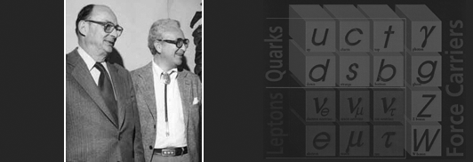 John Bardeen and Murray Gell-Mann