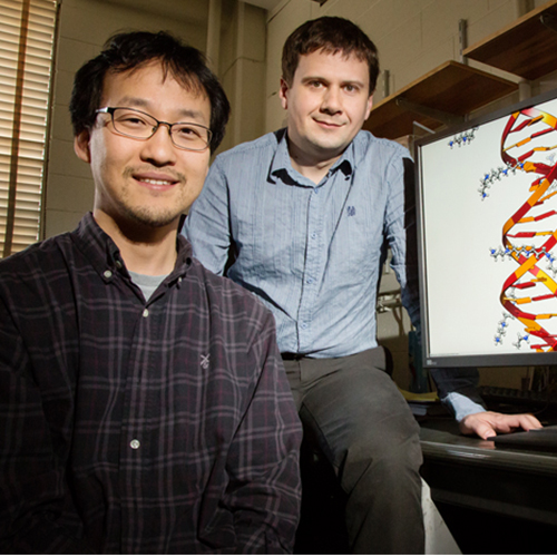 DNA molecules directly interact with each other based on sequence ...