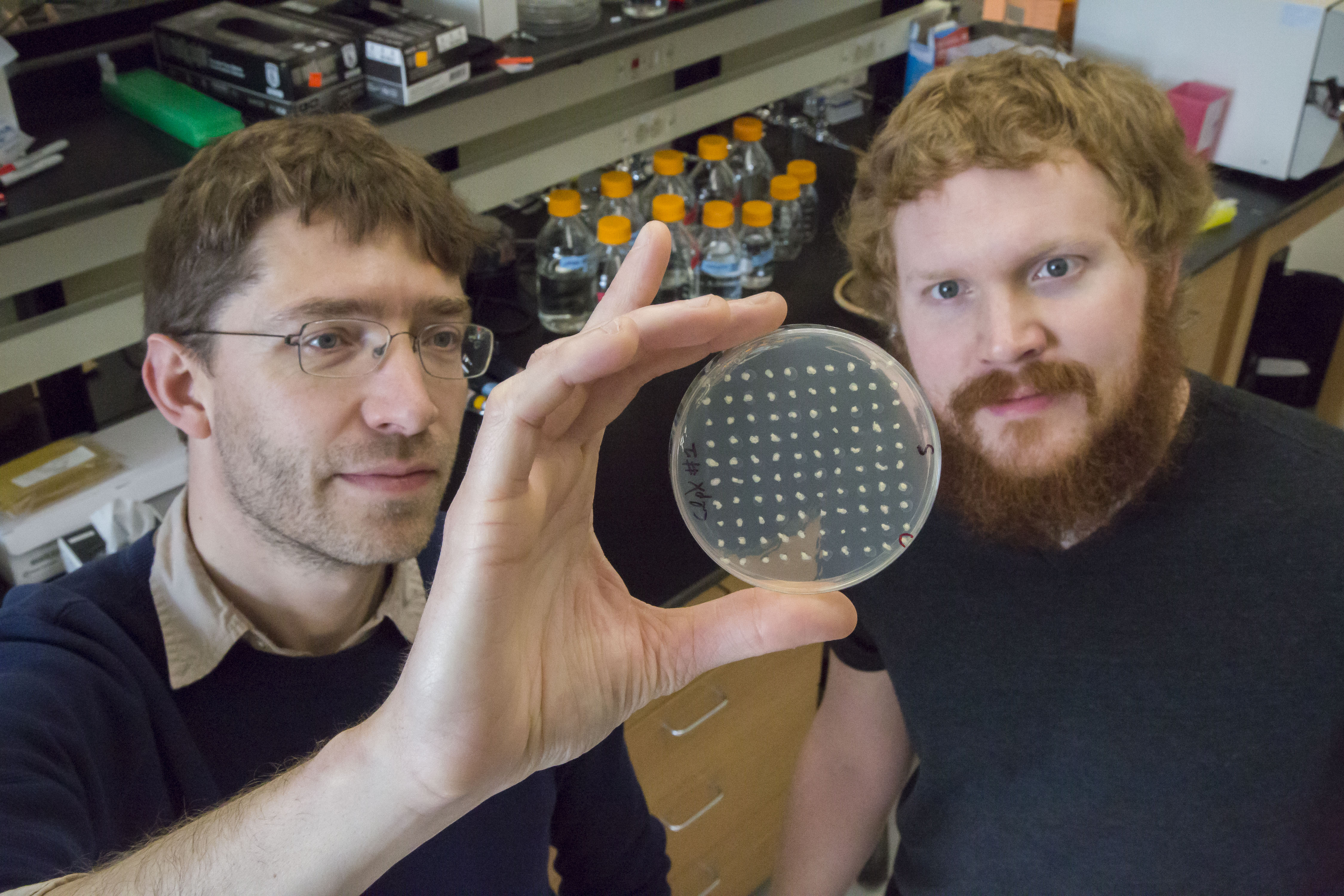 Physics Illinois Asst. Professor Seppe Kuehn works with graduate student David T. Fraebel in the Kuehn laboratory in the Center for the Physics of Living Cells, at Loomis Laboratory of Physics in Urbana. Photo by L. Brian Stauffer, University of Illinois at Urbana-Champaign.