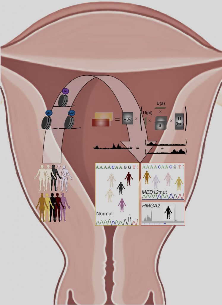 Schematic illustration of application of tensor decomposition of heterogenous epigenomic datasets separating normal uterine myometrium and leiomyoma disease subtypes. For details see Leistico, Saini et al, Cell Reports, ePub: March 30, 2021 Art design: Priyanka Saini, Debabrata Chakravarti, Feng Fei