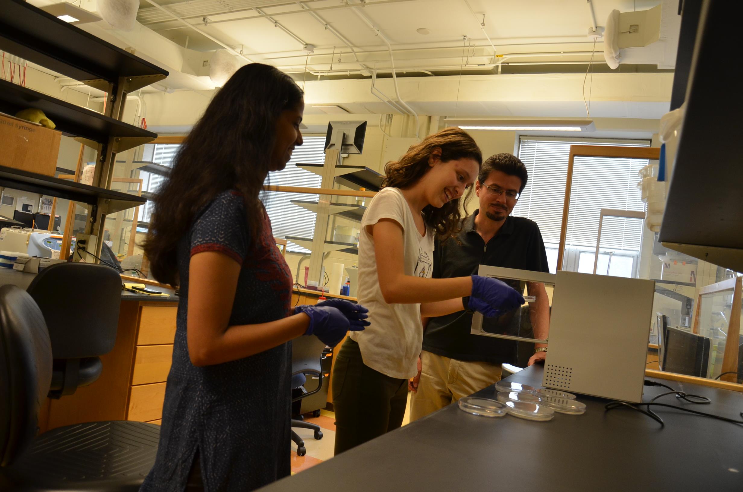 Grad student mentor Roshni Bano, Young Scholar Clara Duarte, and Professor Yann Chemla (left to right) watch as Clara performs a procedure in Chemla's biological physics lab.