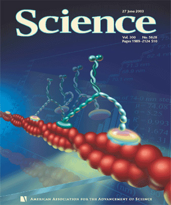 Cover of Science, announcing the Selvin-Yildiz discovery