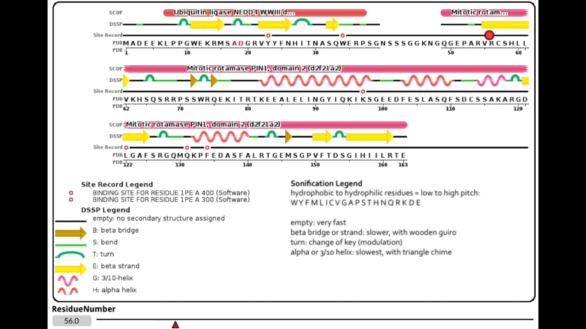 Illinois Music Professor Stephen Taylor demonstrates his work with the UIUC Biophysics Sonification Group: data  on WW proteins are mapped and then transcribed into music. Playback of the music allows the researchers to mark where interesting data points can be found, of significance to their biophysics research.