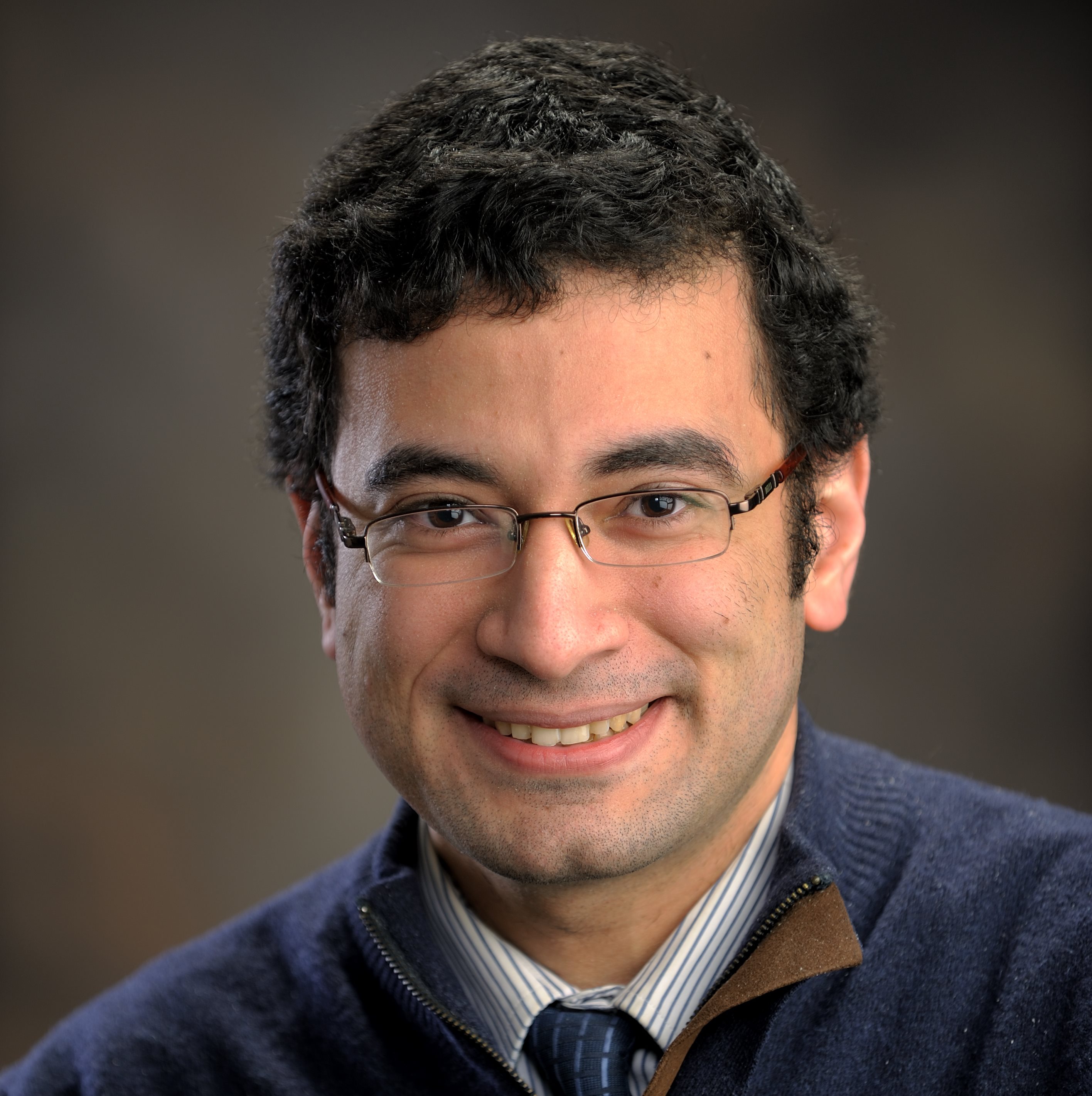 Illinois Professor of Civil and Environmental Engineering Ahmed Elbanna