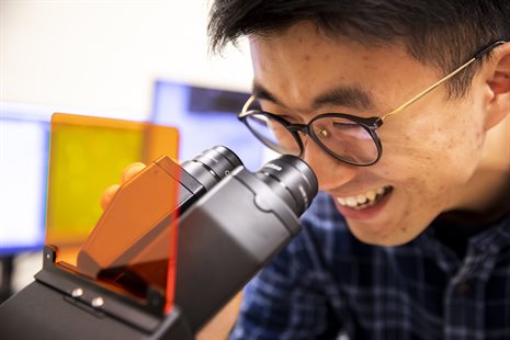 Graduate student researcher looking through microscope