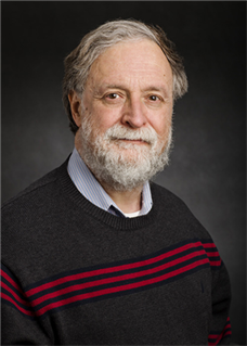 Eduardo Fradkin is the current director of The Anthony J. Leggett Institute for Condensed Matter Theory.